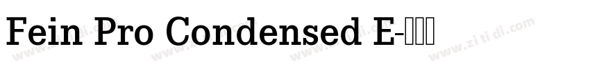 Fein Pro Condensed E字体转换